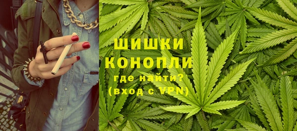сатива Алексин