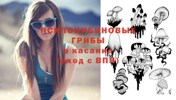 синтетический гашиш Алексеевка