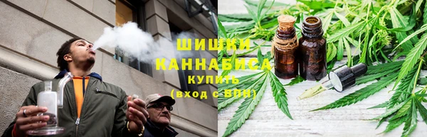 сатива Алексин