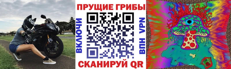 даркнет сайт Каргат Галлюциногенные грибы мицелий